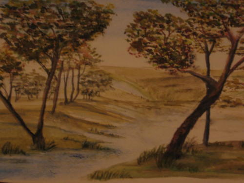Bäume am Bach